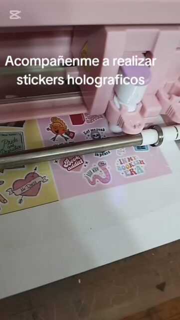 Haciendo pruebas con la cameo , ya se hizo stickers, separadores, cajas etc 😻😻😻
#cameo #emprendimiento #detallesconamor #stickersholograficos
